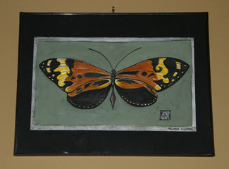 Butterfly