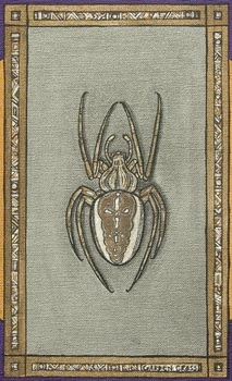 Spider (detail)